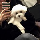 트리밍807 이미지