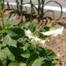 오륜농장 이미지