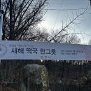 커피엔게디