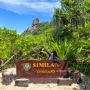 삼막사거리교통섬(3) | 태국 푸켓 여행 액티비티 추천 시밀란 섬 호핑투어 사와누 카타마란 요트