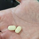 민랩 | 남자 임신 준비 영양제, '안드랩 퍼틸타민 맨' 영양제 복용 후기