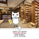 놀숲공주 네이버블로그