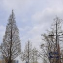 청라호수공원(제2주차장) 이미지