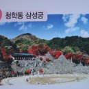 지리산 1 - 지리산 단풍과 최참판댁 구경을 위해 피아골에! 이미지