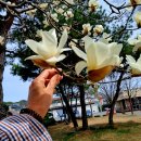 예쁘다, 봄