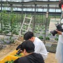 김선영농장 이미지