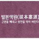 발본색원ㅣ拔本塞源 이미지