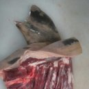 알콩달콩 흑염소 농장 이미지