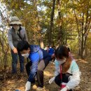 삼성초등학교 이미지
