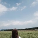 유스헤어크리닉