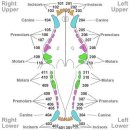 아프리카동물병원 이미지