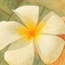 일출목장 이미지