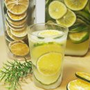 현주네농장 | 제철 풋귤청, 풋귤칩 만들기 w.현주네감귤농장