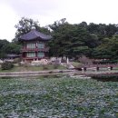복엔정