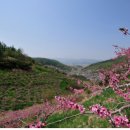 해동의료기 이미지