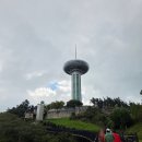 해남섬민박 | 추석여행 ⑥ 완도타워 모노레일 안타고 올라가기, 입장료, 전망대, 카페 달스윗 장보고빵 후기