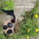 금소공동체 경북일보