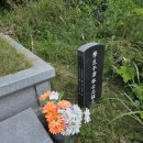 공설묘지 | 경기도 하남 항동공설묘지 벌초대행 선택성제초제 살포 551번 임정식님 산소