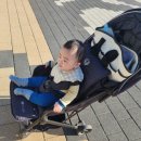 목소리테마파크 | 제주도 아이랑 가볼만한곳 [뽀로로앤타요 테마파크 제주]11개월아기 방문후기