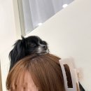 구공분식 이미지