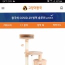 도도인셀덤