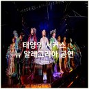 트레쥬어 | 태양의서커스 내한공연 뉴 알레그리아 관람 후기