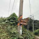스테이인주