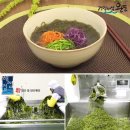 웰빙다이어트