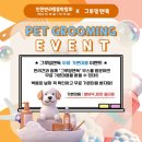 스텔라애견미용학원