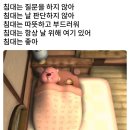 이월십팔일
