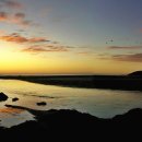 피스테라 이미지