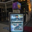 수상한발효실수국
