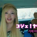 야호관광