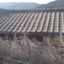 국립종자관리소 이미지