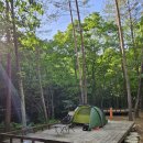 삼봉주유소 이미지