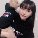 잘어울리개 이미지