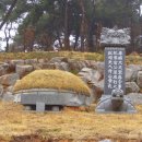 군기시사공파(軍器寺事公派) 派祖 휘(諱) 성리(成利) 부군 시제 참배 이미지