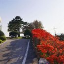 신림면 행정복지센터 이미지