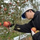 청송 농장 이미지