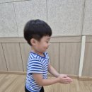 (쿠루미활동) 선상걷기1,2, 거북이와 토끼, 송사리,잠자리,하늘자전거,달팽이가 되어요 이미지