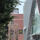 맥도날드 신메뉴 맥앤치즈 더블 비프버거 가격 내돈내산 후기