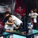 월드타이거즈 이미지