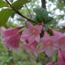 마지농원 이미지