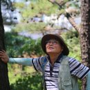 카사벨라 이미지