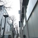 패션 | 빔즈에 대해 알아보자