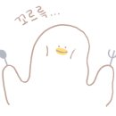퍼피원데이 네이버블로그