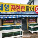 세영자연산활어회