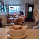 서광식당 이미지