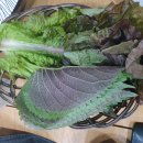 경상식당 이미지