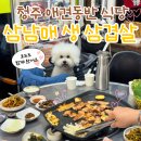 청주 애견동반 식당 성안길 삼남매생삼겹살 찐단골 후기